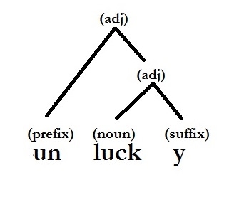 Hierarchy of Morphemes in Unlucky